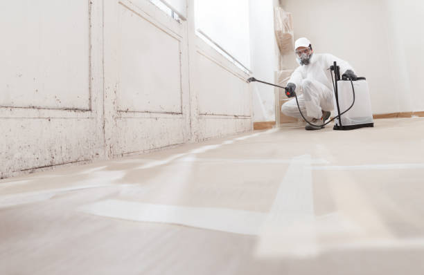 24/7 Emergency Black Mold Remediation experts in Pineville, KY